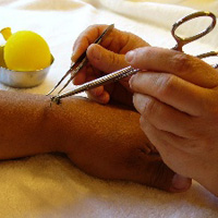 curso de apiterapia ACHIA